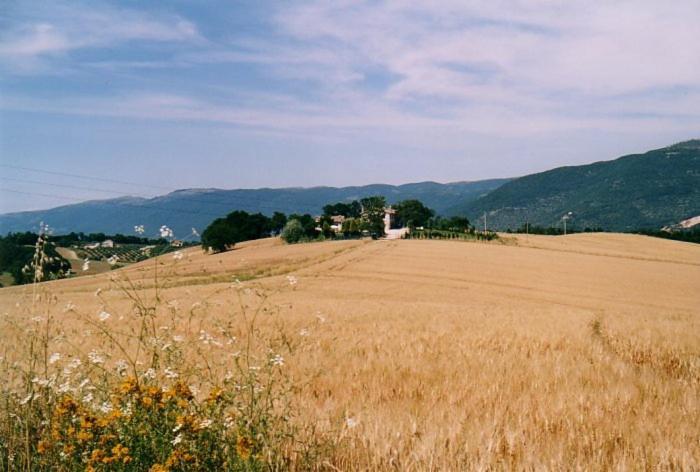 Vila Casale Santomanno Acquasparta Exteriér fotografie
